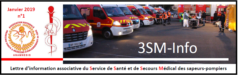 ANAMNESIS 3SM INFO #1